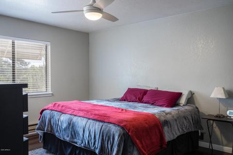 3401 Turkey Run, Overgaard, AZ 85933 photo 10