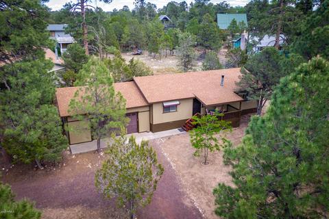 3401 Turkey Run, Overgaard, AZ 85933 photo 3