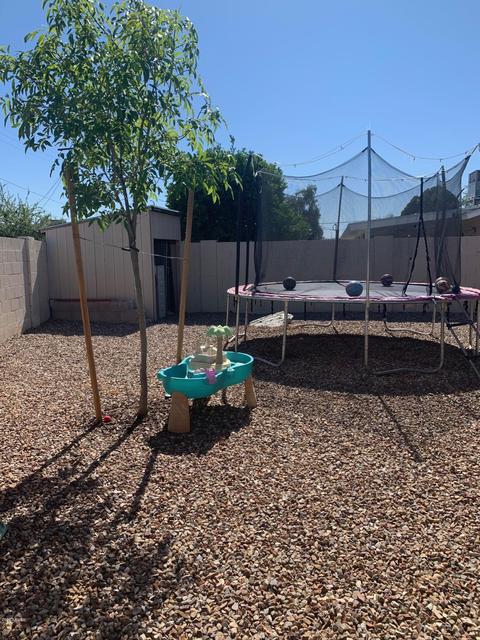 133 E Glade Ave, Mesa, AZ 85210 photo 36