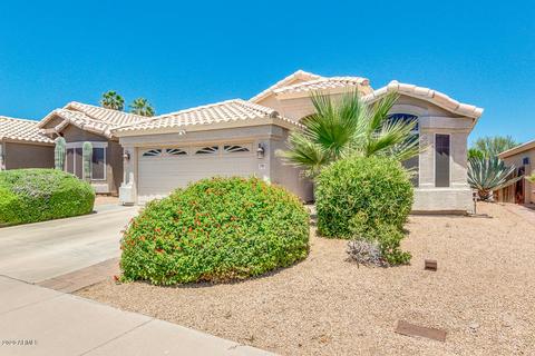 2244 E Ross Ave, Phoenix, AZ 85024 photo 4