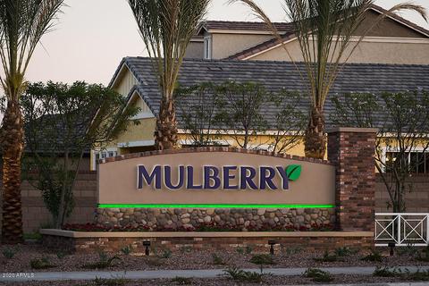 10411 E Naranja Ave, Mesa, AZ 85209 photo 43