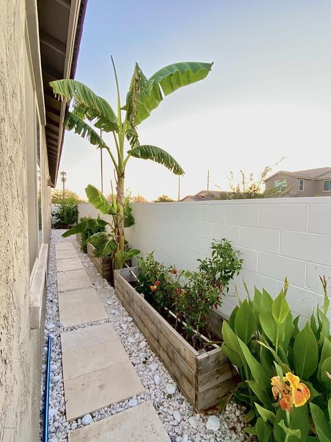 3953 E Chestnut Ln, Gilbert, AZ 85298 photo 40