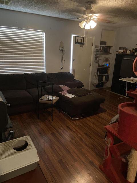 346 S Hobson --, Mesa, AZ 85204 photo 8