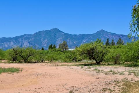 8687 E Chandler Ln, Hereford, AZ 85615 photo 45