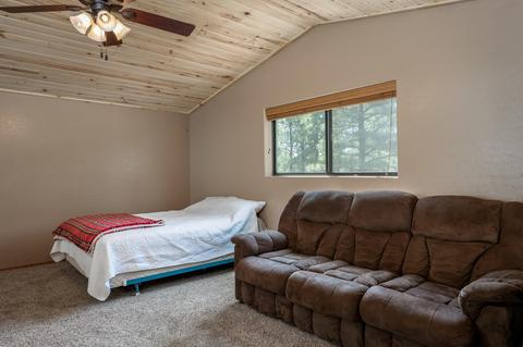 2049 Badger Ln, Overgaard, AZ 85933 photo 12