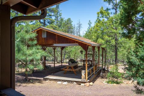 2049 Badger Ln, Overgaard, AZ 85933 photo 14