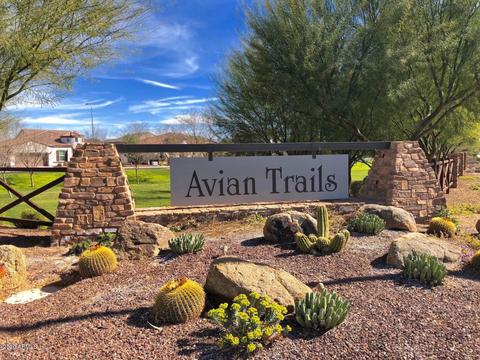 4162 E Crescent Way, Chandler, AZ 85249 photo 49