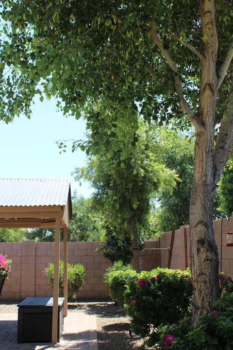 2579 E Tiffany Way, Gilbert, AZ 85298 photo 66
