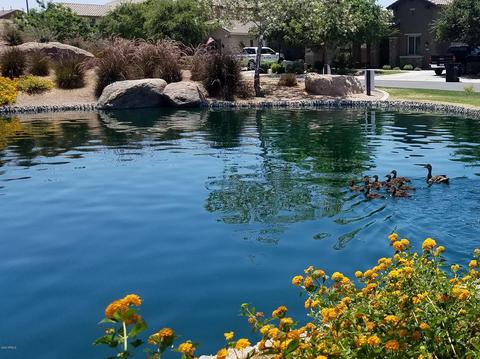 2579 E Tiffany Way, Gilbert, AZ 85298 photo 75