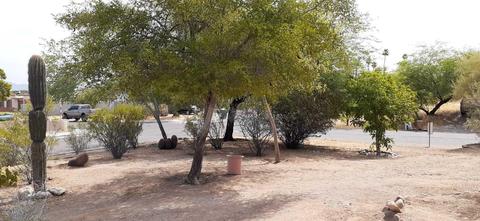 1709 Euclid Ave, Phoenix, AZ 85042 photo 14