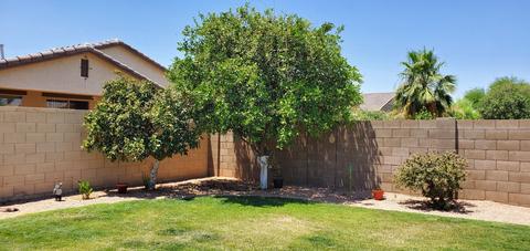 8729 E Nopal Cir, Mesa, AZ 85209 photo 34