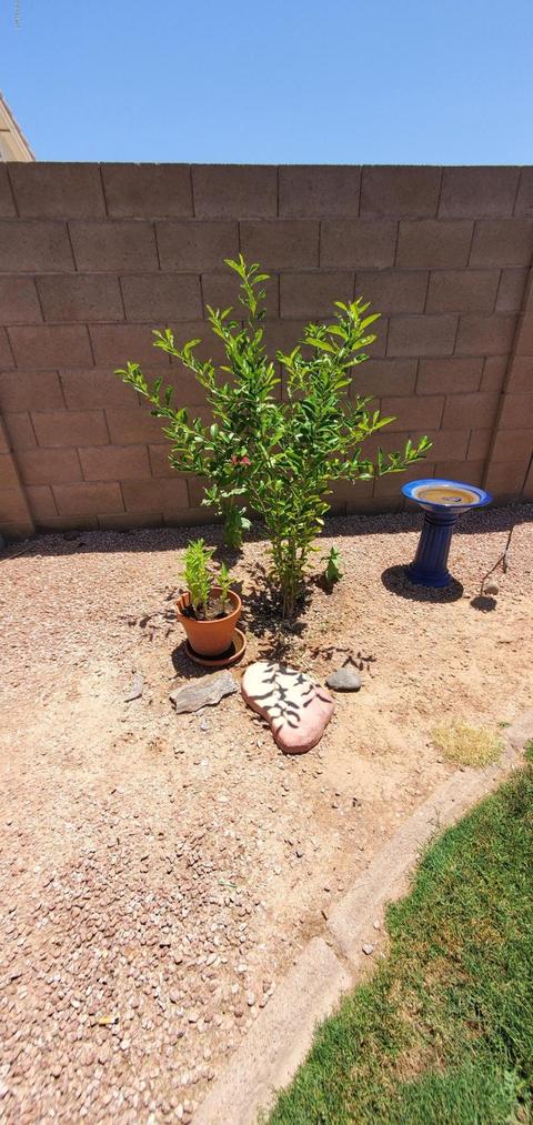 8729 E Nopal Cir, Mesa, AZ 85209 photo 33