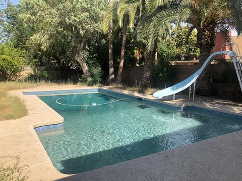 8007 N 7th Ave, Phoenix, AZ 85021 photo 7