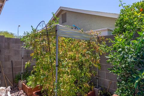 120 S Stardust Ln, Apache Junction, AZ 85120 photo 16