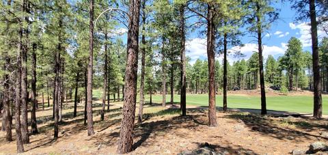 3560 Lariat Loop, Flagstaff, AZ 86005 photo 11