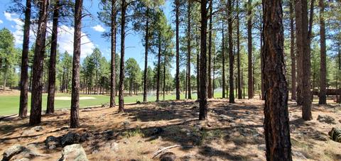3560 Lariat Loop, Flagstaff, AZ 86005 photo 12