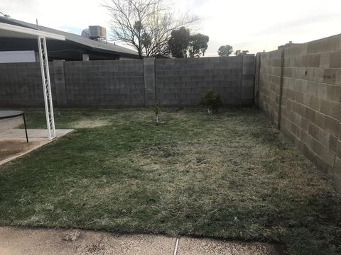 7722 W Devonshire Ave, Phoenix, AZ 85033 photo 61