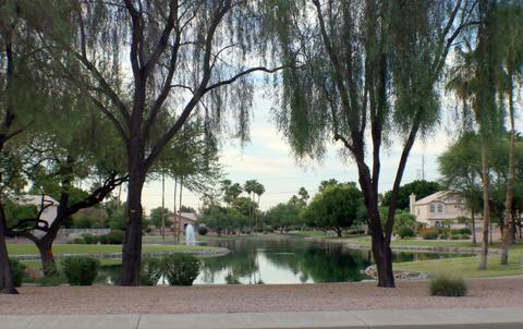 1970 E Todd Dr, Tempe, AZ 85283 photo 43