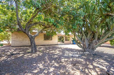 4414 E Covina St, Mesa, AZ 85205 photo 5