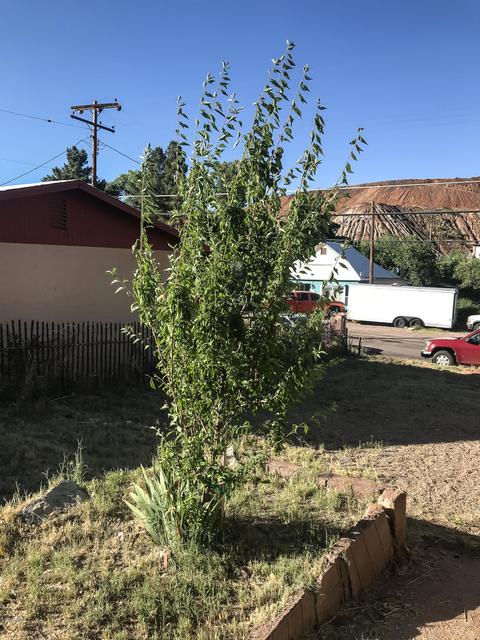 79 Cochise Row, Bisbee, AZ 85603 photo 30