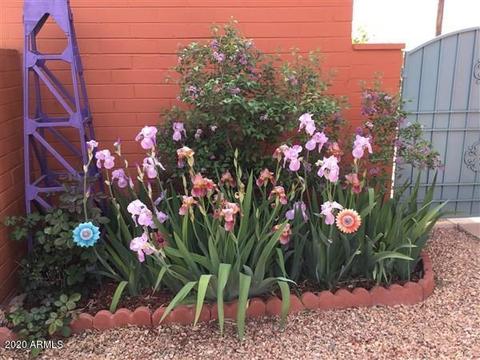 102 Mountain View Ave, Bisbee, AZ 85603 photo 23