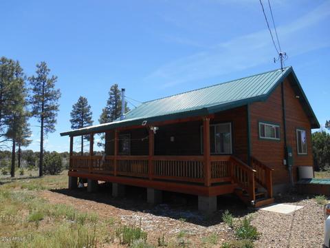 2549 E Burton Ln, Overgaard, AZ 85933 photo 1