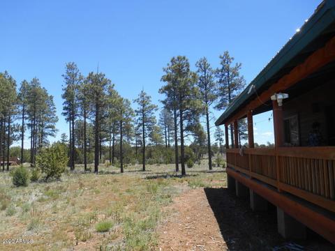 2549 E Burton Ln, Overgaard, AZ 85933 photo 3