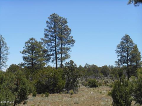 2549 E Burton Ln, Overgaard, AZ 85933 photo 8