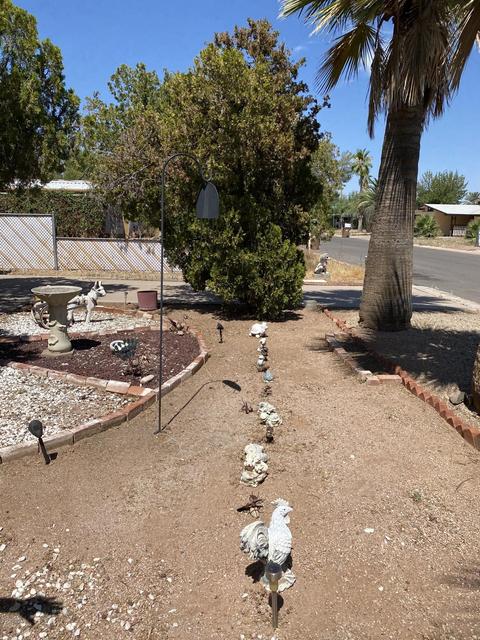 8119 E Billings St, Mesa, AZ 85207 photo 3