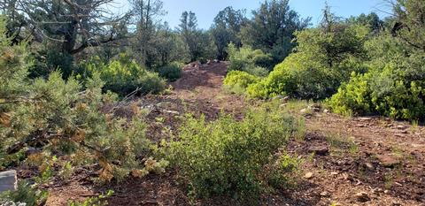 2088 Lance Dr #40, Payson, AZ 85541 photo 15