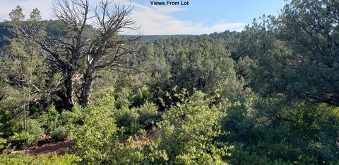 2088 Lance Dr #40, Payson, AZ 85541 photo 4