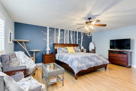 303 E Palo Verde St, Gilbert, AZ 85296 photo 20