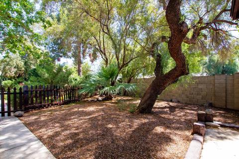 2138 S Rogers --, Mesa, AZ 85202 photo 33