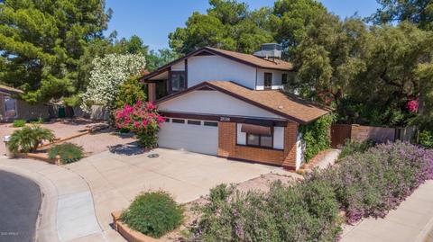 2138 S Rogers --, Mesa, AZ 85202 photo 40