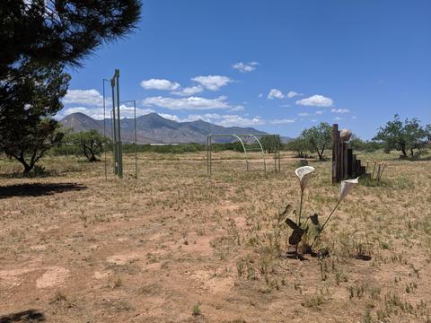9188 E Lane Ranch Rd, Hereford, AZ 85615 photo 22