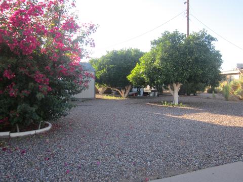 5534 E University Dr, Mesa, AZ 85205 photo 13