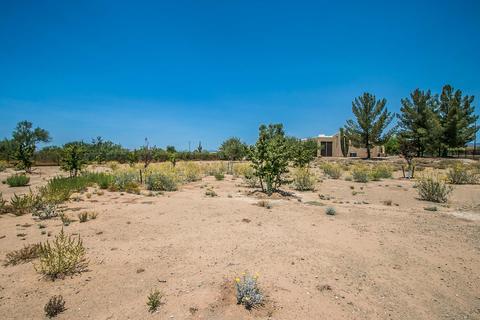 1147 E Galvin St, Phoenix, AZ 85086 photo 29