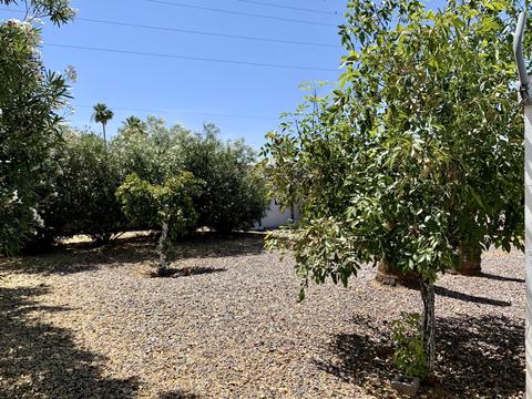 3160 E Main St #112, Mesa, AZ 85213 photo 16