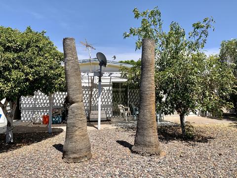 3160 E Main St #112, Mesa, AZ 85213 photo 18