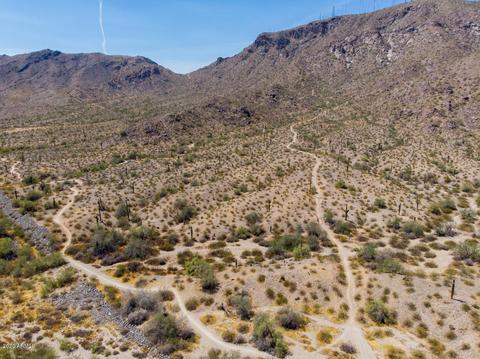 1420 E Desert Flower Ln, Phoenix, AZ 85048 photo 29