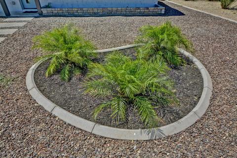 919 E Cheryl Dr, Phoenix, AZ 85020 photo 12