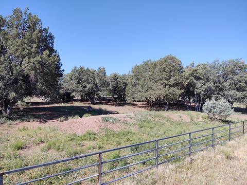 255 E Hazelwood Rd, Young, AZ 85554 photo 19