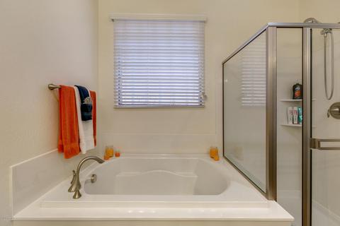2924 E Preston St, Mesa, AZ 85213 photo 23