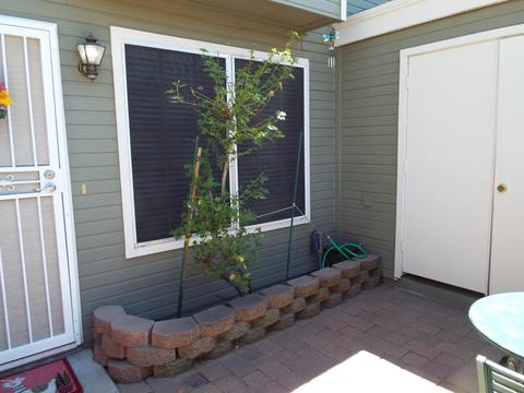 2301 E University Dr #347, Mesa, AZ 85213 photo 6
