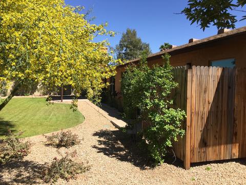 16 E Wood Dr, Phoenix, AZ 85022 photo 8