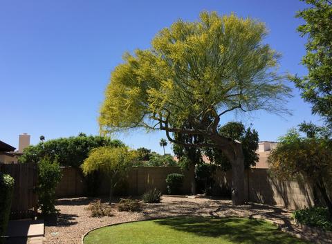 16 E Wood Dr, Phoenix, AZ 85022 photo 11