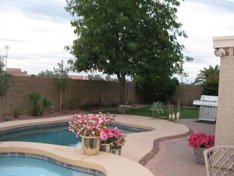 236 S Sandstone St, Gilbert, AZ 85296 photo 8