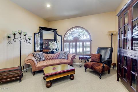 9921 E Ivyglen St, Mesa, AZ 85207 photo 10