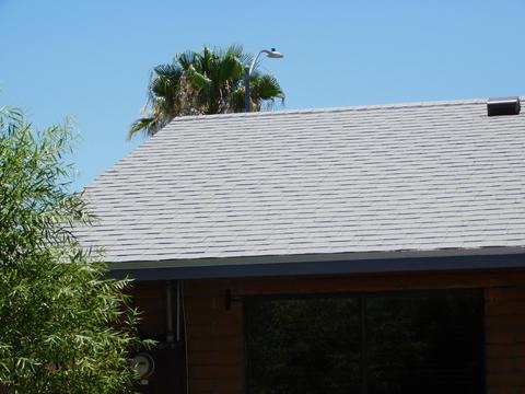 2020 E 13th St, Douglas, AZ 85607 photo 40