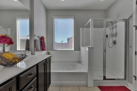 10436 E Sebring Ave, Mesa, AZ 85212 photo 14